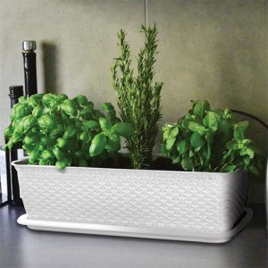 پخش عمده انواع گلدان پلاستیکی