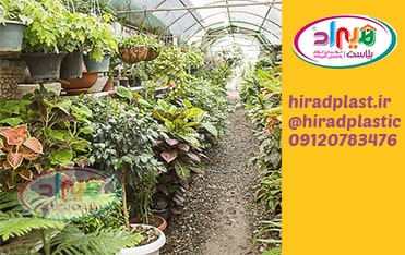 فروش گلدان گلخانه ای