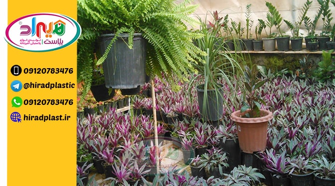 فروش گلدان گلخانه ای