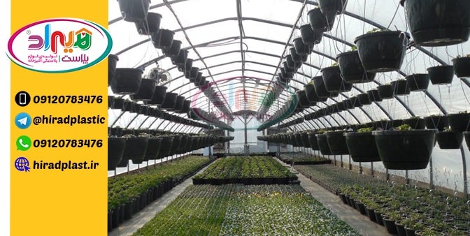 فروش گلدان گلخانه ای