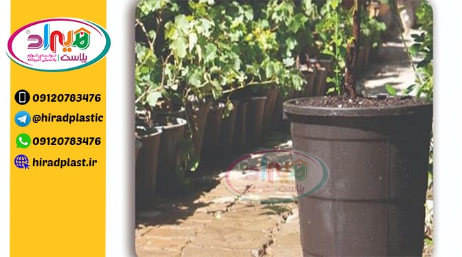 فروش گلدان گلخانه ای