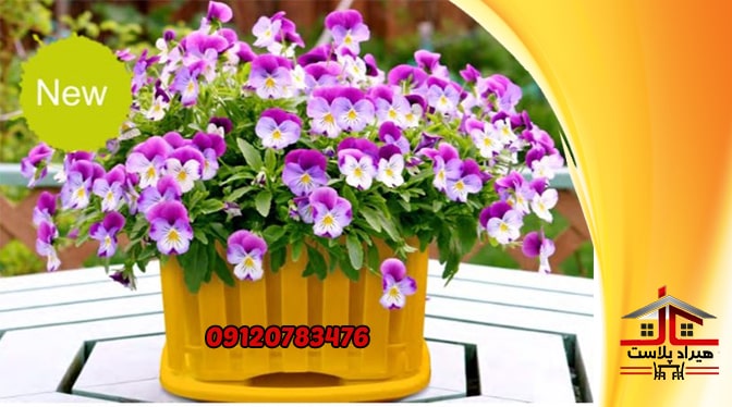 گلدان پلاستیکی رنگی ارزان