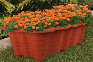 خرید گلدان پلاستیکی تزئینی