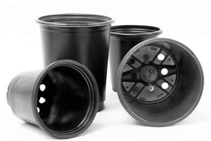 قیمت گلدان پلاستیکی گلخانه ای