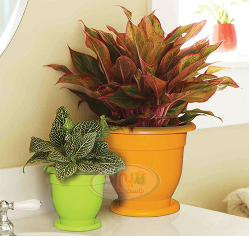 تولید کننده گلدان پلاستیکی