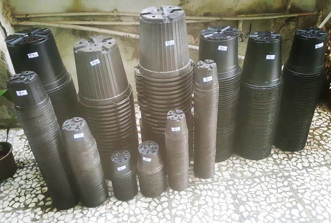 گلدان پلاستیکی گلخانه