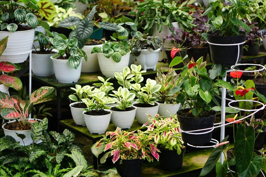 گلدان پلاستیکی تراس