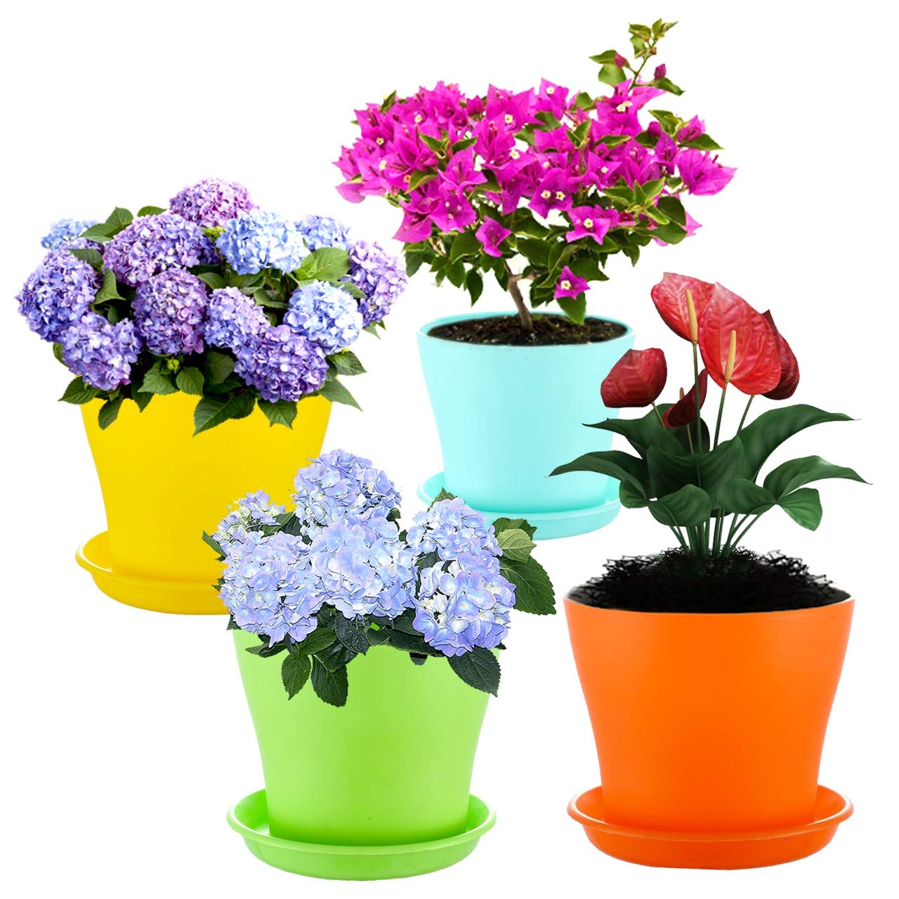 گلدان پلاستیکی خیلی کوچک