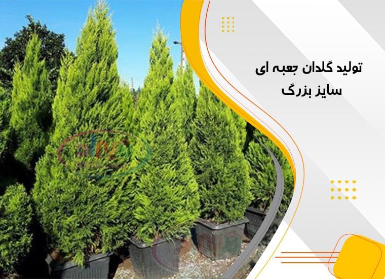 عرضه گلدان پلاستیکی مشکی