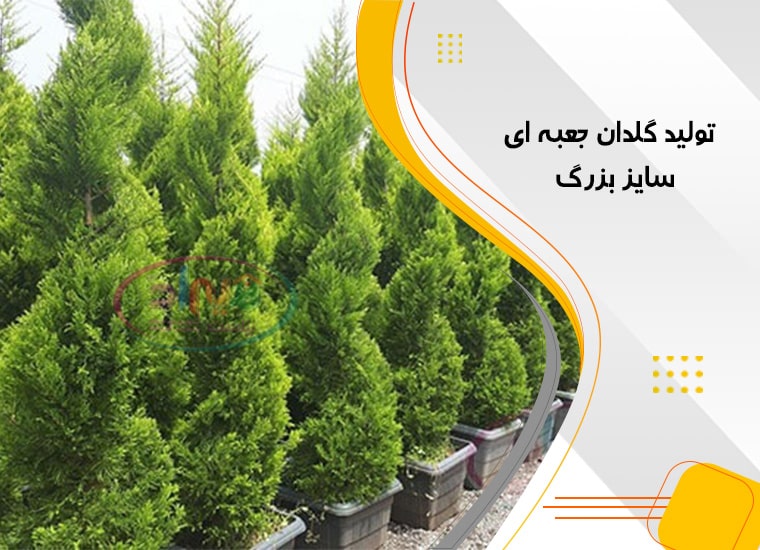 عرضه گلدان پلاستیکی گلخانه