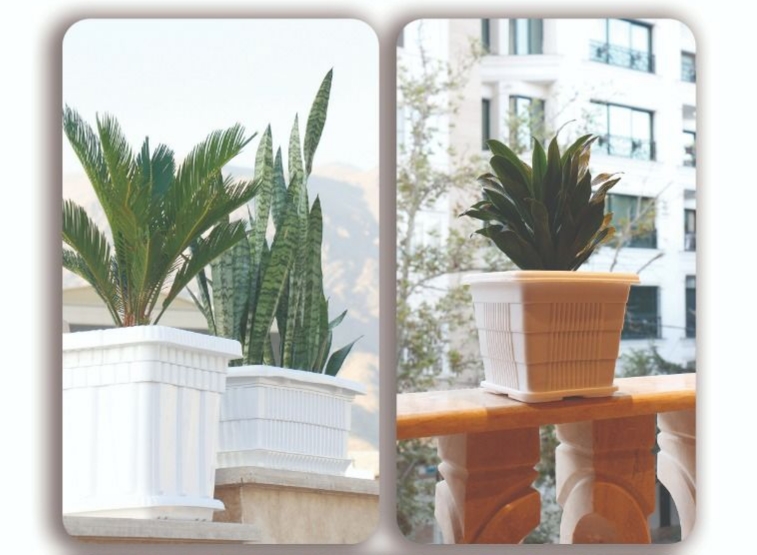 گلدان پلاستیکی