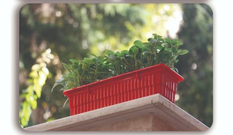 گلدان پلاستیکی دراز