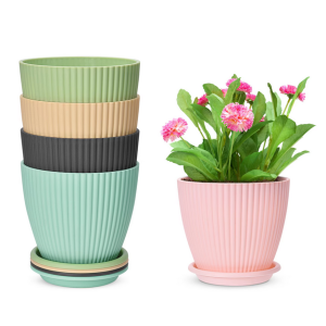 گلدان پلاستیکی