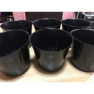 گلدان پلاستیکی