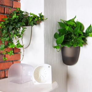 گلدان پلاستیکی دیوارکوب