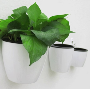 گلدان پلاستیکی دیوارکوب