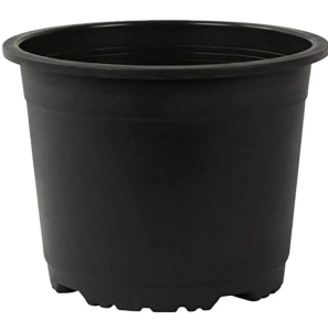 گلدان پلاستیکی ژله ای