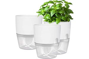 گلدانهای زیبای پلاستیکی