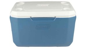 انواع مدل های یخدان سفری