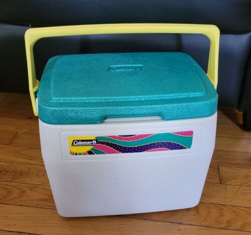 خرید یخدان سفری