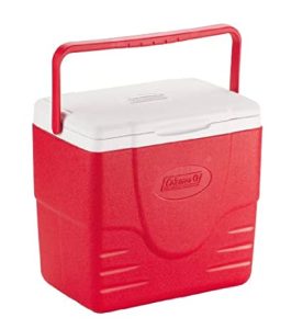 شرایط خرید یخدان سفری به صورت عمده