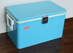 بازار عمده فروشی یخدان حمل دارو پلاستیکی