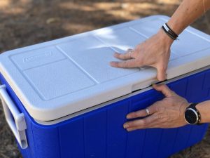 خرید یخدان پلاستیکی در دیجی کالا