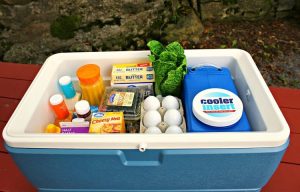 پرفروش ترین سایز یخدانهای پلاستیکی