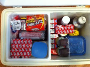 چرا کیفیت یخدان پلاستیکی مهم است؟