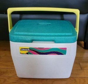 خرید یخدان پلاستیکی مسافرتی شیک