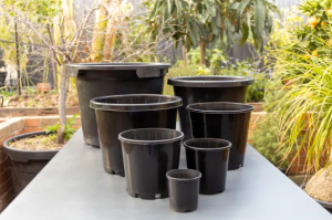 مرکز فروش انواع مختلفی از این محصول