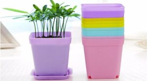 پخش انواع گلدان پلاستیکی گرد رنگی