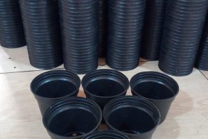 گلدان پلاستیکی نشایی چیست؟