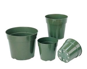 استفاده از این محصول برای سبزه نارنج