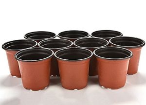 خرید گلدان پلاستیکی نشایی عمده