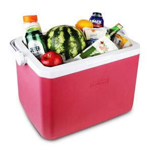 انواع یخدان مسافرتی پلاستیکی