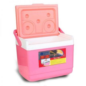 یخدان مسافرتی کوچک یونولیتی