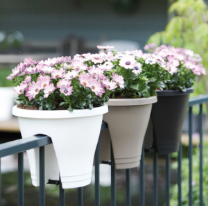 گلدان پلاستیکی رو نرده ای مخصوص گلخانه