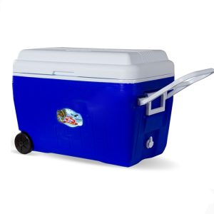 قیمت کلمن یخچالی