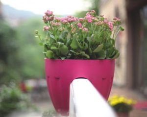 گلدان پلاستیکی نرده ای