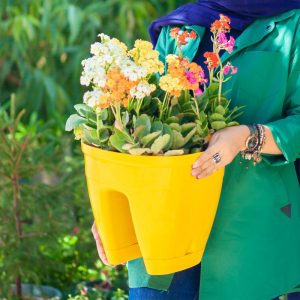 مزیت گلدان پلاستیکی نرده ای