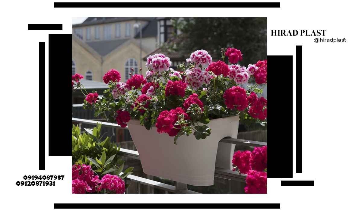 گلدان پلاستیکی اپارتمانی