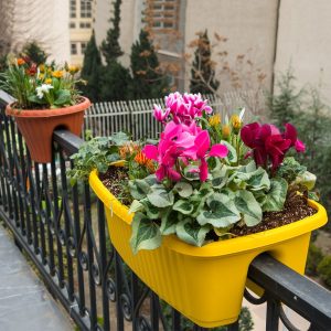 تولید کننده گلدان پلاستیکی رنگی نرده ای