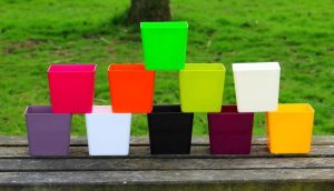 خرید اینترنتی گلدان پلاستیکی رنگی