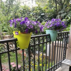 گلدان لب نرده ای ارزان