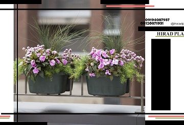 گلدان پلاستیکی