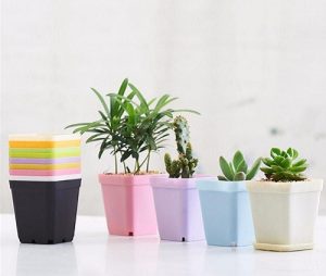 خرید گلدان پلاستیکی رنگی ارزان به همراه ارسال فوری