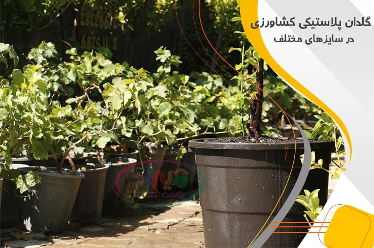 خرید گلدان سطلی مشکی