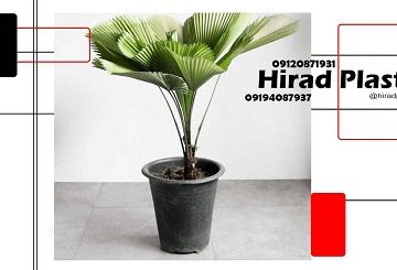 گلدان مشکی عمده