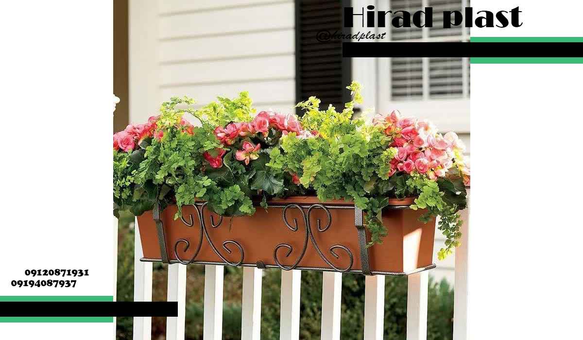 گلدان آپارتمانی